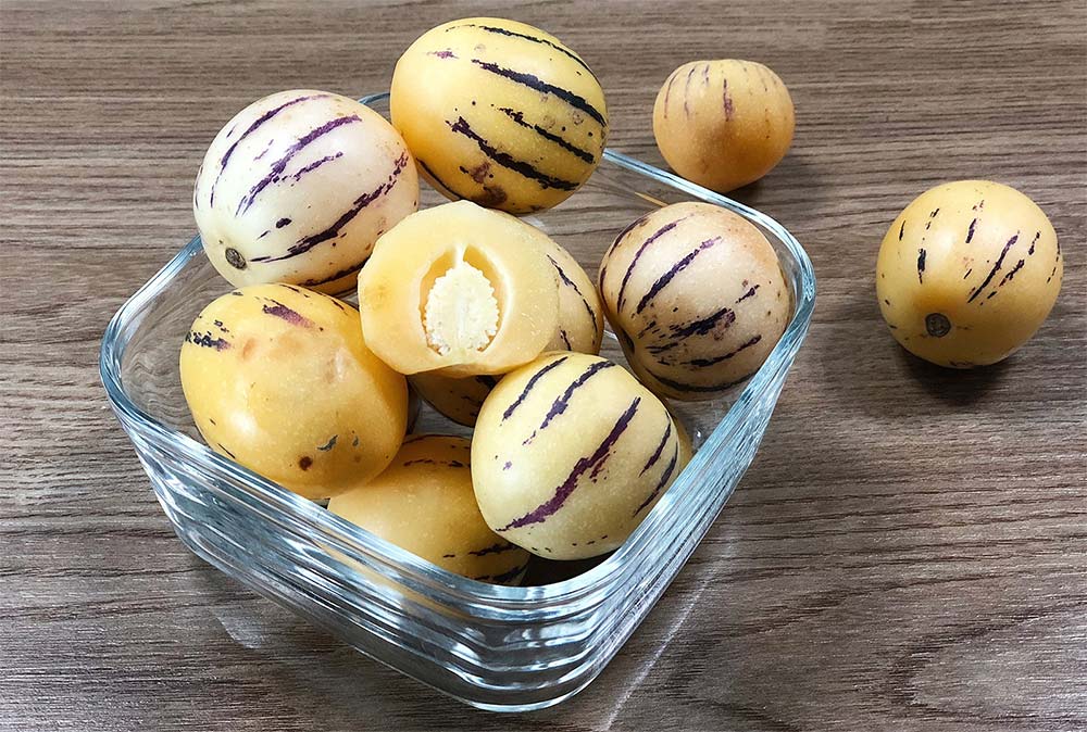 Sâm Sữa Tam Đảo